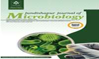 چاپ مقاله توسط اعضای مرکز تحقیقات بیوشیمی و تغذیه در بیماری‌های متابولیک  در مجله Jundishapur J Microbiol