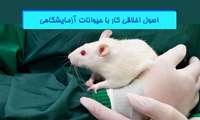 کارگاه «اصول اخلاقی کار با حیوانات آزمایشگاهی»